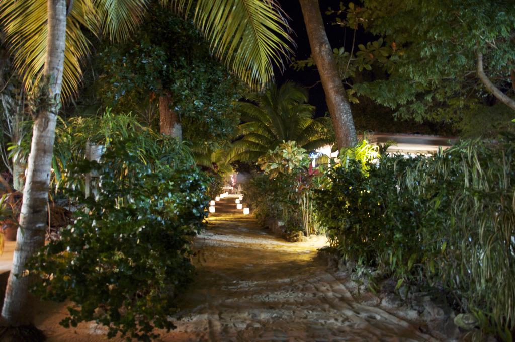 Whistling Bird Hotel Negril Exterior foto